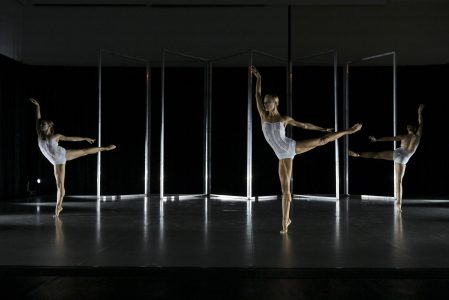 la mort du cygne © olivier houeix ohx 5812